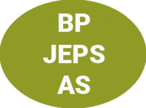 BPJEPS AS (Brevet Professionnel de la Jeunesse, de l&#039;Éducation Populaire et du Sport en Animation Sociale)