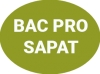 Baccalauréat Professionnel SAPAT (Services Aux Personnes et Aux Territoires)