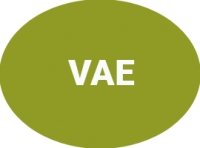V.A.E. (Validation des Acquis de l&#039;Expérience)